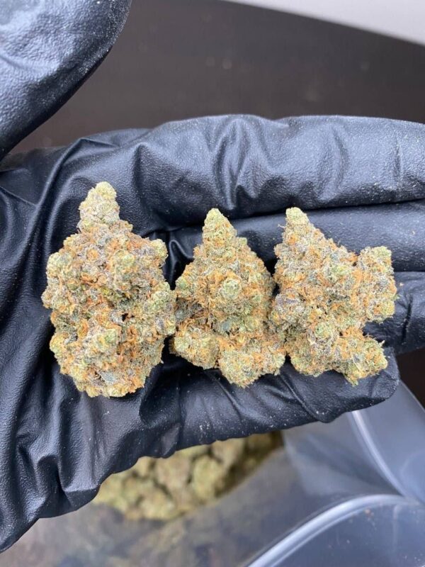 Cannabis - Afbeelding 2