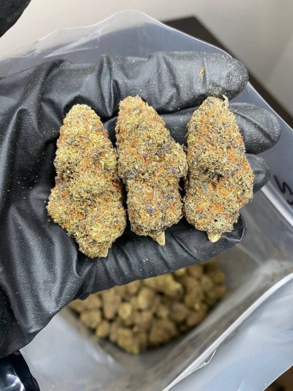 Cannabis - Afbeelding 5