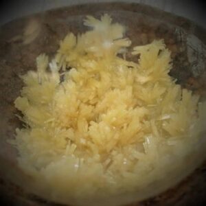 DMT (Dimethyltriptamine)