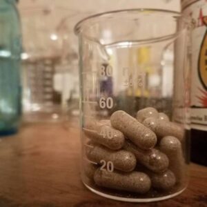 Golden Teacher Paddenstoel Capsules